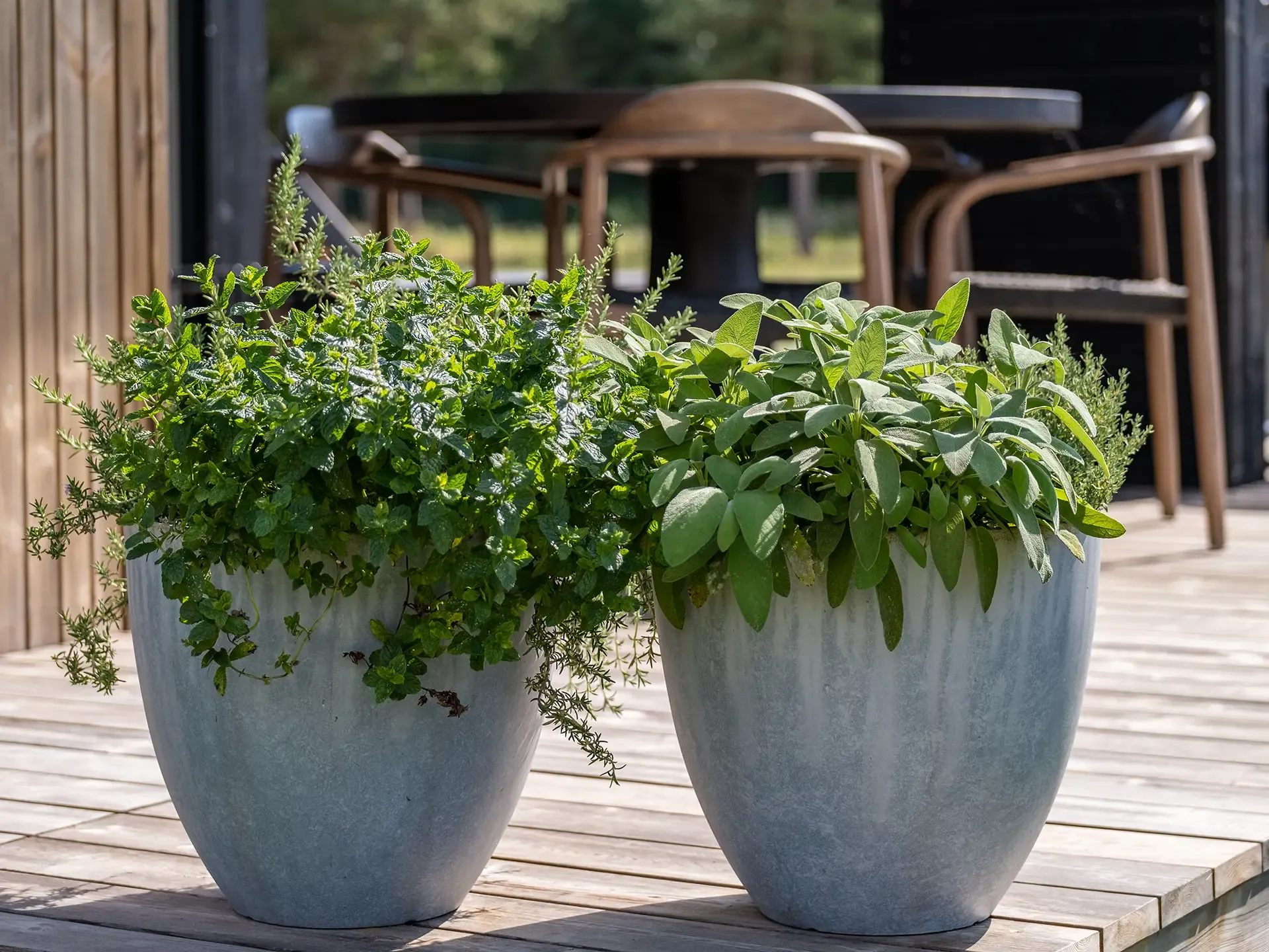 Outdoor terrace with Nordic-style plant décor in concrete pots, adding natural charm to Scandinavian camping cabins and resort accommodations.