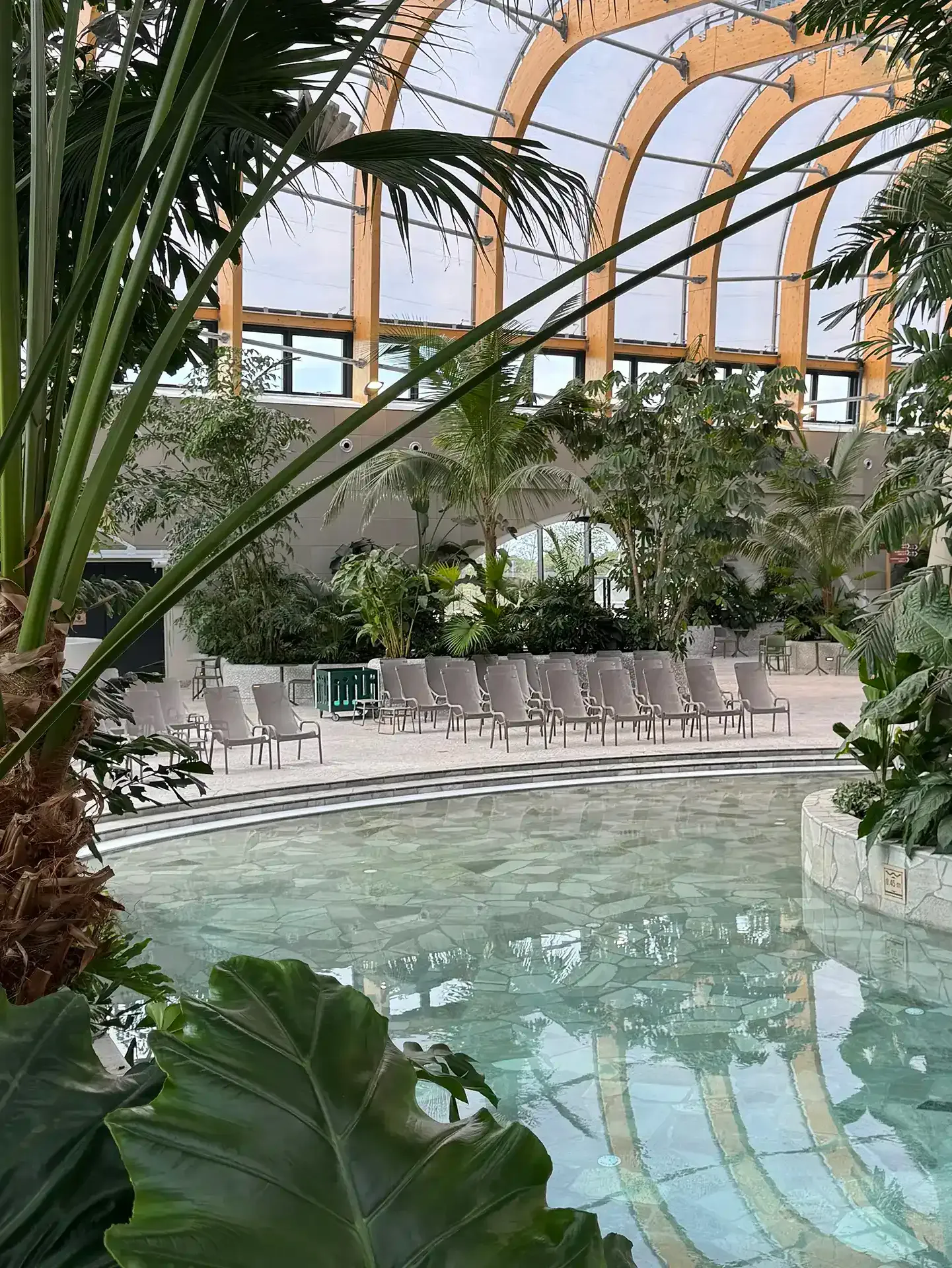 Indoor wellness pool with surrounding contract-grade loungers and integrated greenery supporting high-capacity resort use at Nordborg Resort.
